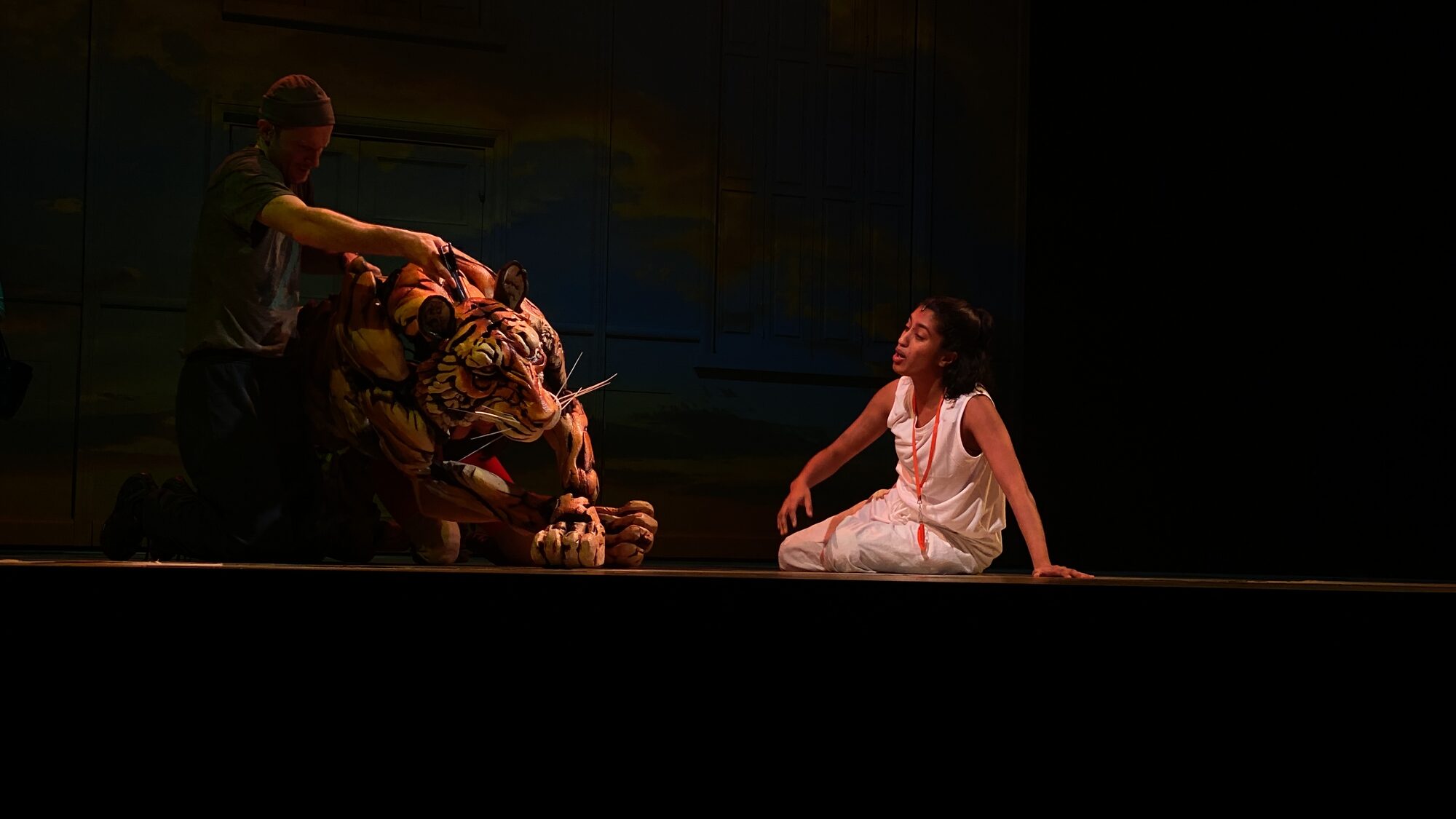 On stage in Life of Pi with Richard Parker